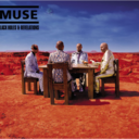 daily-muse-music avatar