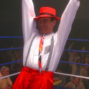 dailyalcalavicci avatar