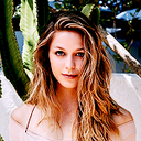 dailybenoist avatar