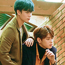 dailybinu avatar