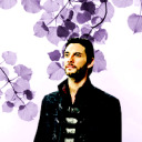 dailydarkling avatar