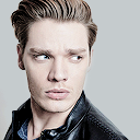 dailydomsherwood avatar