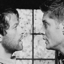 dailydoseofdestiel avatar