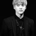 dailydoseofdia avatar