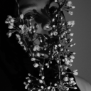 dailydoseofnonsense avatar