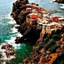 dailymckinnon avatar