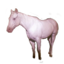 dailymoodboard333 avatar