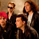 dailymychemicalromance-blog avatar