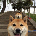 dailynespiration avatar