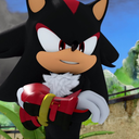 dailyshadowthehedgehog avatar