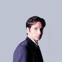 dailythexfiles avatar