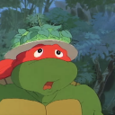 dailytmntscreenshots avatar