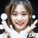 dailytzuyu avatar