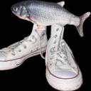 dailyvideogamefish avatar