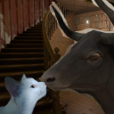 dailywisdomfromthewonderbull avatar