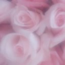 daintydoe-blog1 avatar