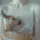 daintylittebird avatar