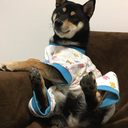 dairyqueen405 avatar