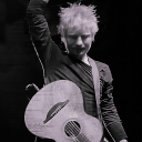 daisies--daisies avatar