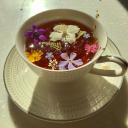 daisies-and-chai avatar