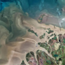 daisiesandbrokendreamsworld avatar