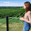 daisiesanddaydreaming avatar