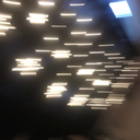 daisiesandshitt avatar