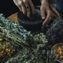 daisiesdeceased avatar