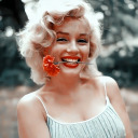 daisiesflower avatar