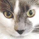 daisyandbijou-blog avatar