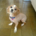 daisydanielamolina avatar