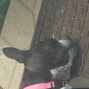 daisyflower138 avatar