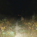 daisyhurricanes-prt2 avatar