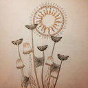 daisylawnillustrations avatar