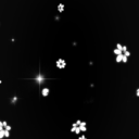 daisysinsomnia avatar