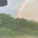 daisythoughtsinblue avatar