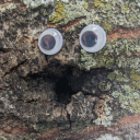 daisywithskeletons avatar