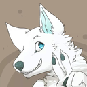 dakkydawolf avatar