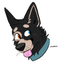 dakodoggy avatar