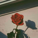 dakota-west31 avatar