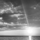 dakotafromparis avatar