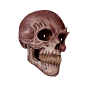 dakotamacdoodle avatar