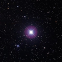 dalibuddhadaddy avatar