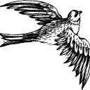 dalla-mia-isola-strana avatar