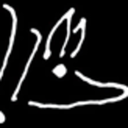 dallasfoodorg avatar