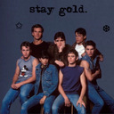 dallaswinstonsgirl724 avatar