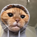 dalmacyalibalporsugu avatar