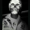 daltons-not-dead-blog avatar