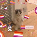 damagederudite avatar