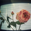 damagedrebelion avatar